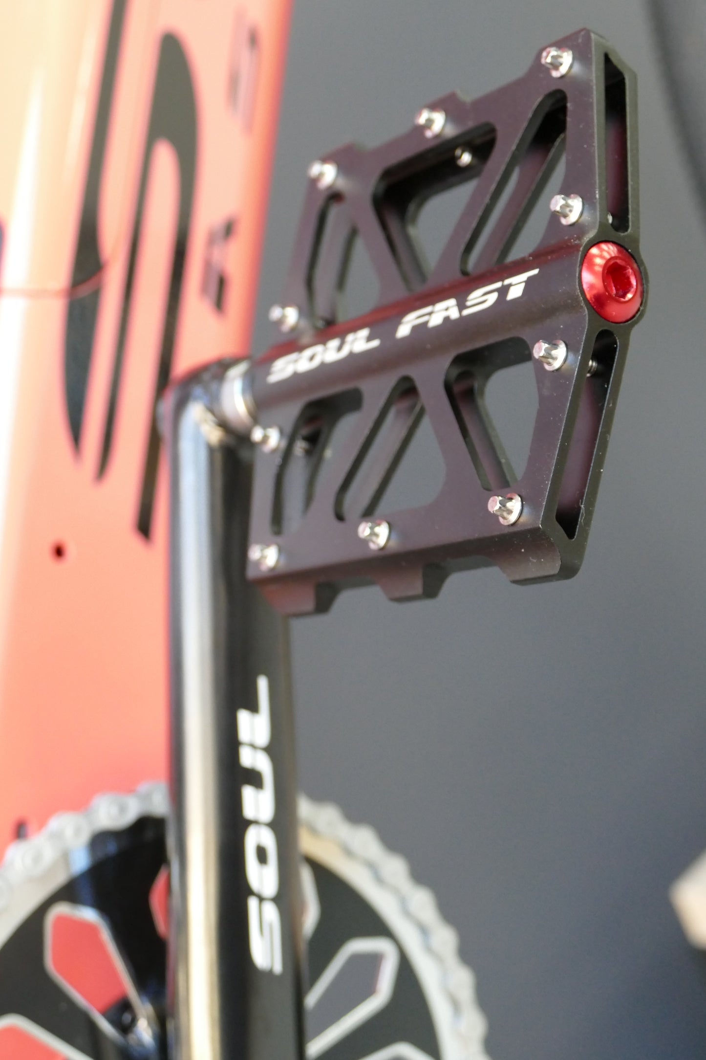 SABER Pro 26'- Ladies - Coral