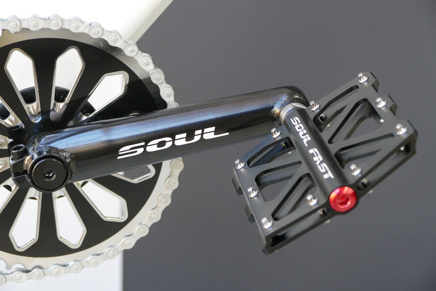 SABER Pro 24'- Ladies - Gloss White